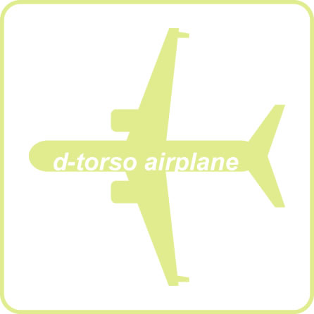 d-torso Airplane2