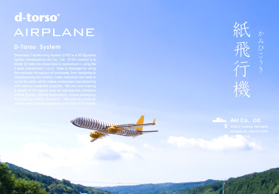 d-torso airplane
