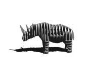 d-torso rhino