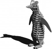 d-torso paper craft | penguin