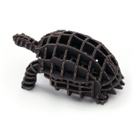Tortoise104_black