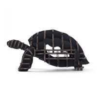 Tortoise104_black
