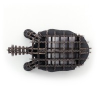 Tortoise104_black