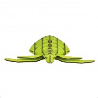 Turtle 127_p-green
