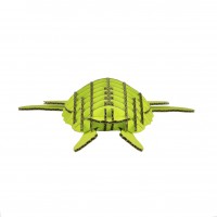 Turtle 127_p-green