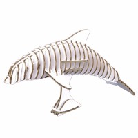 Dolphin 137_white