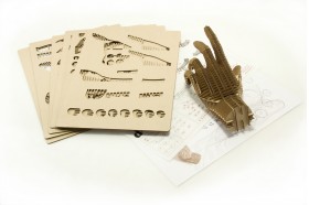 Left Hand No.1_white