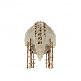 Triceratops 183_gray