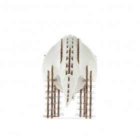 Triceratops 183_white