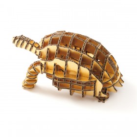 Tortoise104_ngold