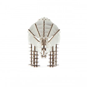 Triceratops 183_white