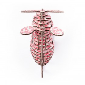 NEZU 100_(print_Hosho)