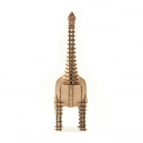 Brachiosaurus 195_natural