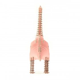 Brachiosaurus 195_pink