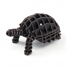 Tortoise104_black