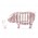 Pig 109_sakura