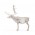 Reindeer139_white