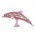 Dolphin 137_pink
