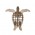 Turtle 127_natural