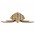 Turtle 127_natural