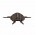Turtle 127_black
