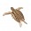 Turtle 127_natural