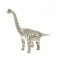 Brachiosaurus 195_white
